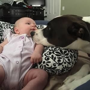 Meet your Posher, Jesse